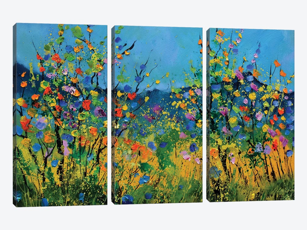 Poppies In The Valley by Pol Ledent 3-piece Canvas Print