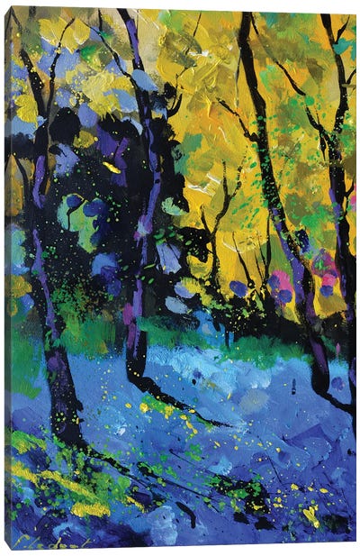 Autumn Light Canvas Art Print - Pol Ledent