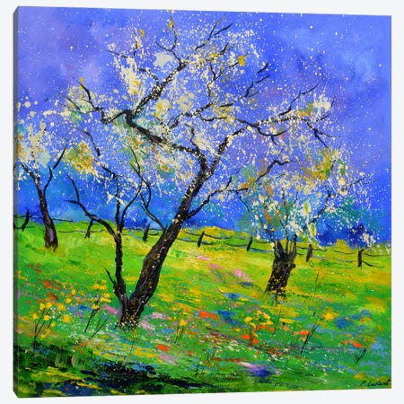 Blooming Trees In My Countryside Canvas Print #LDT511} by Pol Ledent Canvas Art