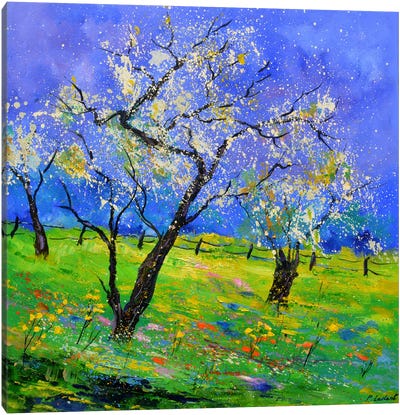 Blooming Trees In My Countryside Canvas Art Print - Pol Ledent