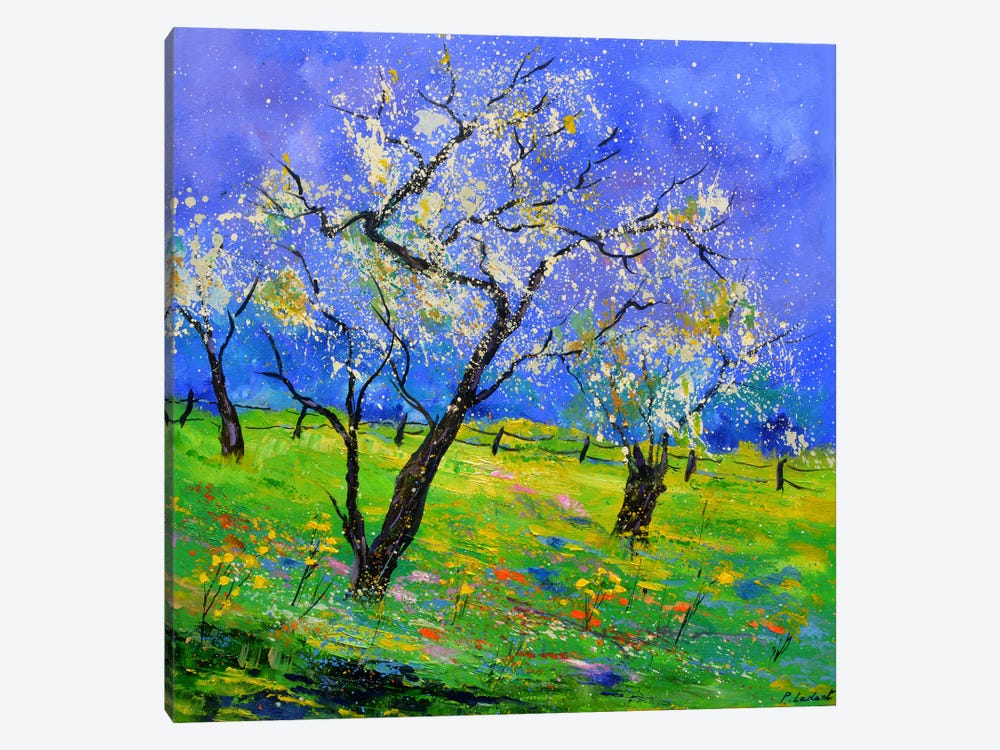 Blooming Trees In My Countryside by Pol Ledent 1-piece Art Print