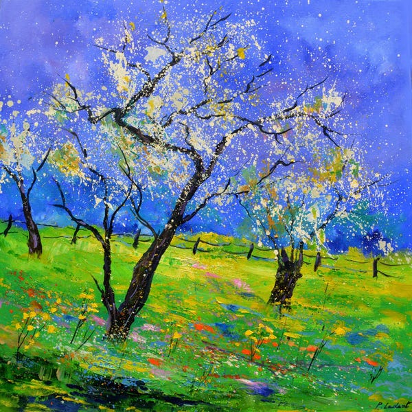 Blooming Trees In My Countryside