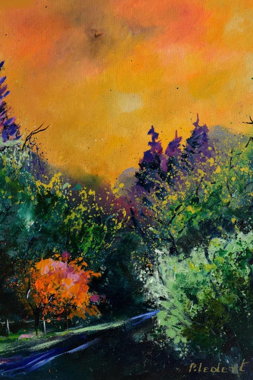 Orange Sky