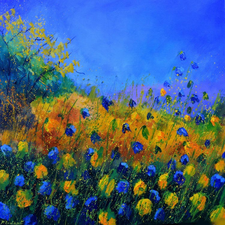 Blue And Yellow Flowers