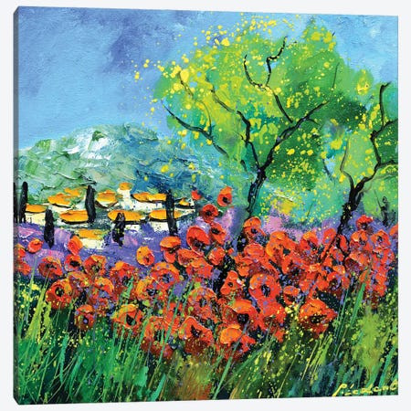 Red Poppies In Provence Canvas Print #LDT530} by Pol Ledent Canvas Wall Art