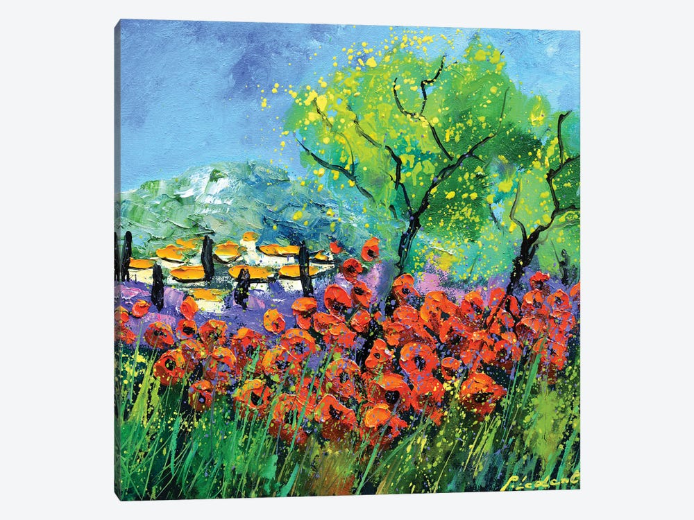 Red Poppies In Provence by Pol Ledent 1-piece Canvas Artwork
