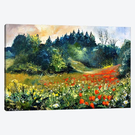 Red Poppies 75 Canvas Print #LDT549} by Pol Ledent Canvas Art Print