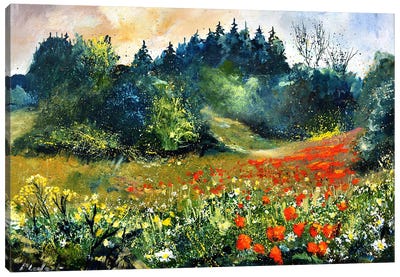 Red Poppies 75 Canvas Art Print - Pol Ledent