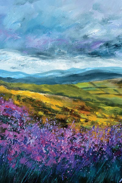 Scottish Moors by Pol Ledent art print