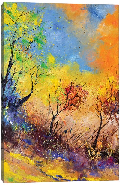 Autumn magic colours Canvas Art Print - Pol Ledent