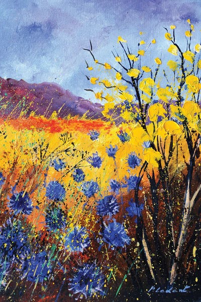 Blue cornflowers by Pol Ledent canvas print