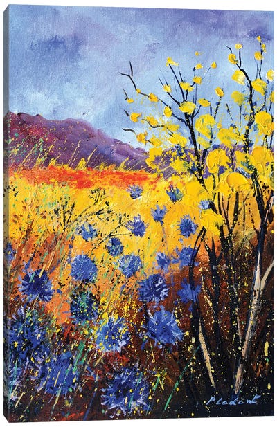 Blue cornflowers Canvas Art Print