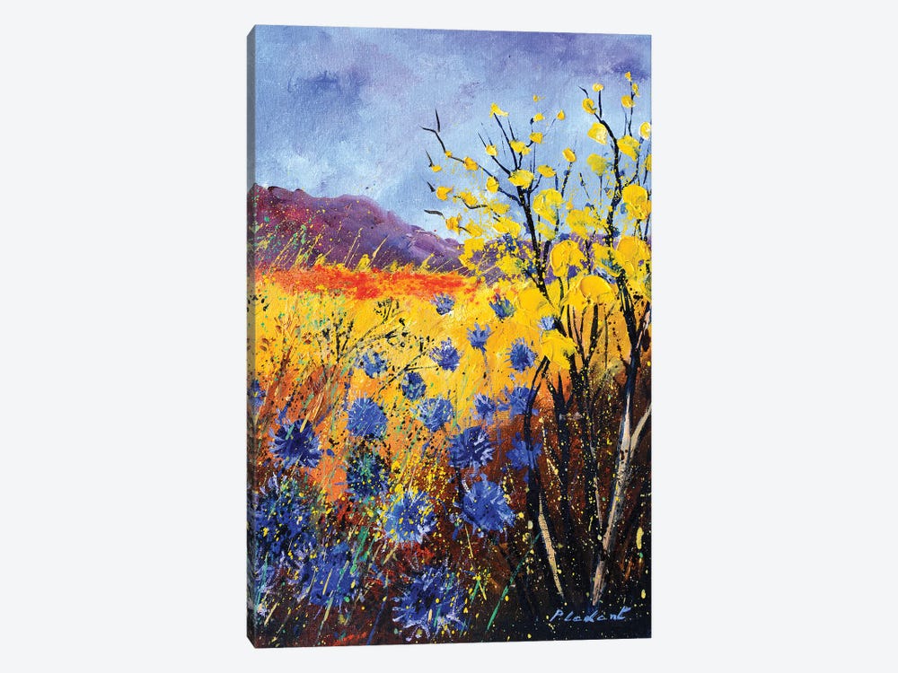 Blue cornflowers by Pol Ledent 1-piece Canvas Print