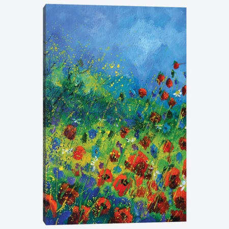 Red poppies in summer Canvas Print #LDT66} by Pol Ledent Canvas Wall Art