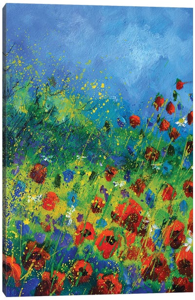 Red poppies in summer Canvas Art Print - Poppy Art