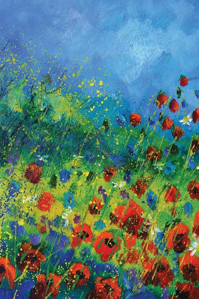Poppies: Red poppies in summer by Pol Ledent