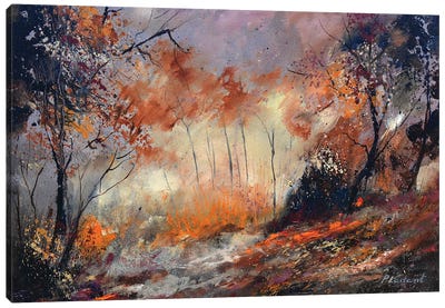 Autumn in the wood Canvas Art Print - Pol Ledent