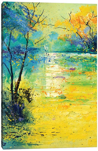 Quiet pond Canvas Art Print - Pol Ledent