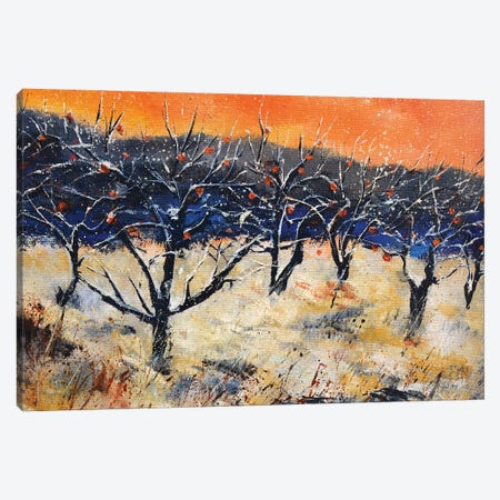 Apple trees in early snow Canvas Print #LDT72} by Pol Ledent Canvas Artwork