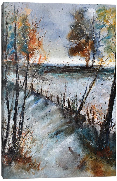 Winter path Canvas Art Print - Rustic Winter