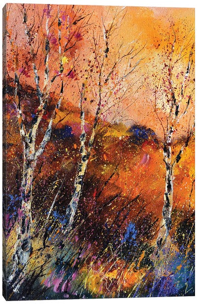Three aspen trees Canvas Art Print - Pol Ledent