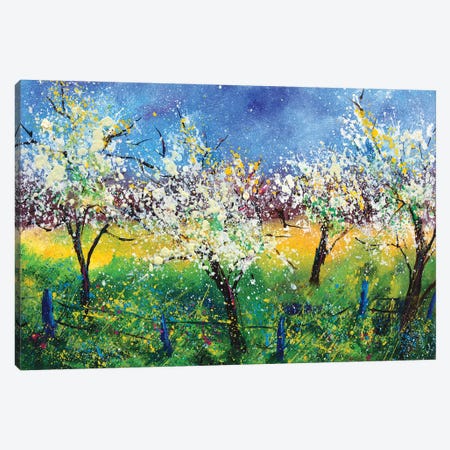 Blooming apple trees Canvas Print #LDT76} by Pol Ledent Canvas Print