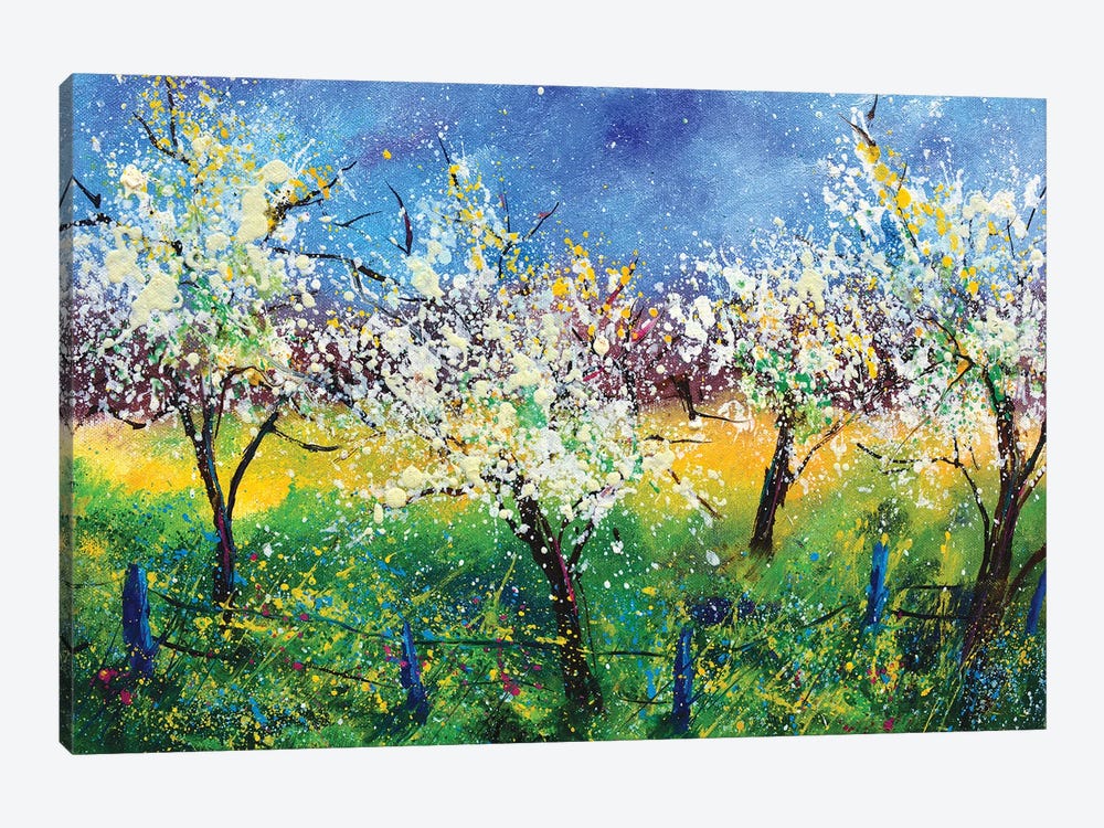 Blooming apple trees by Pol Ledent 1-piece Canvas Print