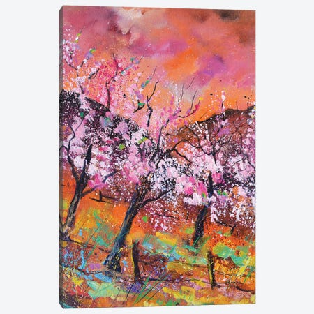 Blooming cherry trees Canvas Print #LDT78} by Pol Ledent Canvas Artwork
