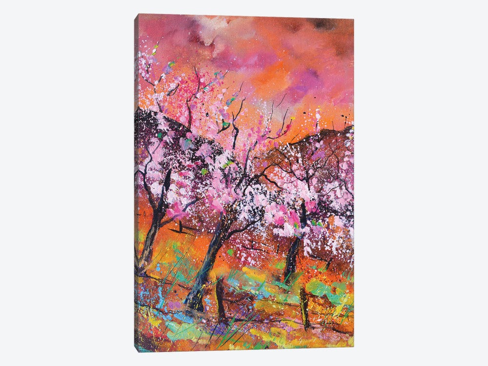 Blooming cherry trees by Pol Ledent 1-piece Canvas Print