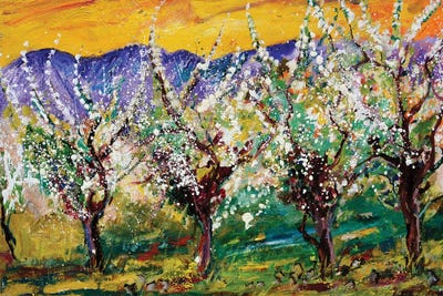 Spring by Pol Ledent art print