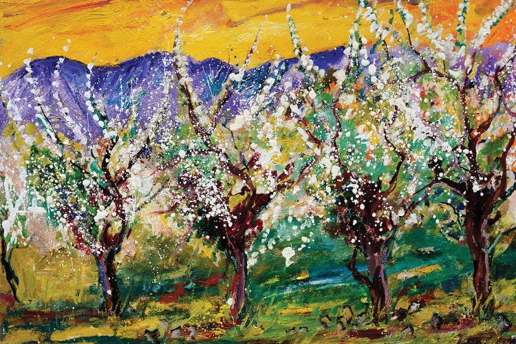 Spring