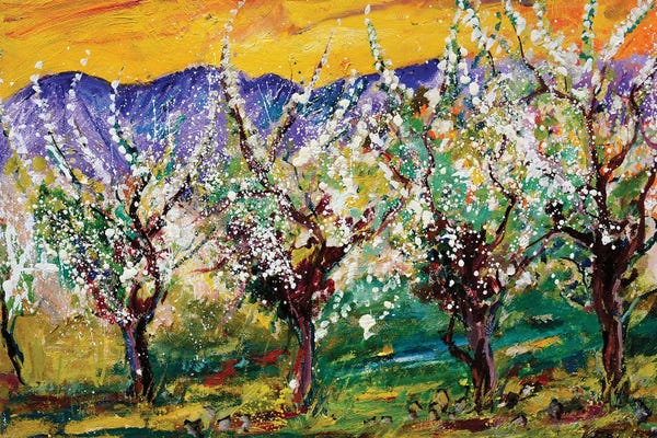 Spring