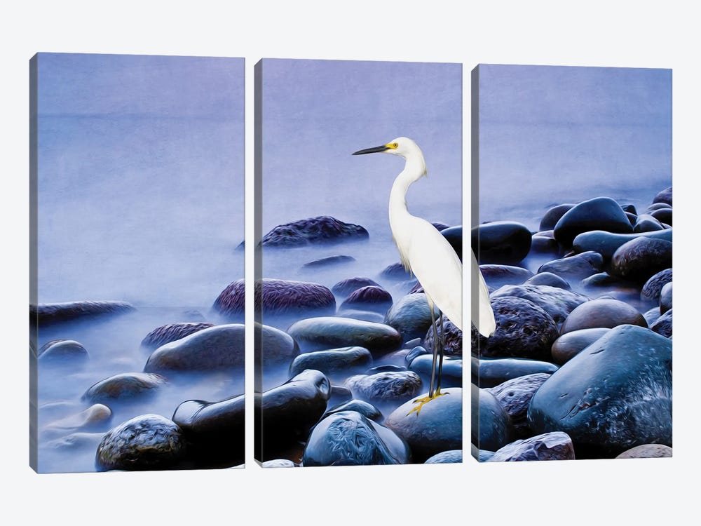 Snowy Egret On The Rocks by Laura D Young 3-piece Canvas Artwork