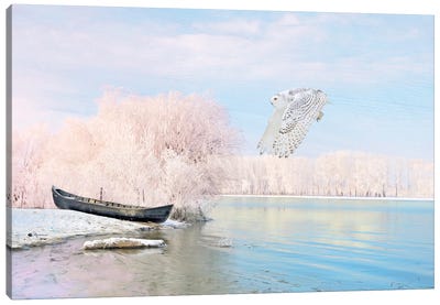 Snowy Owl At Winter Lake Canvas Art Print - Laura D Young