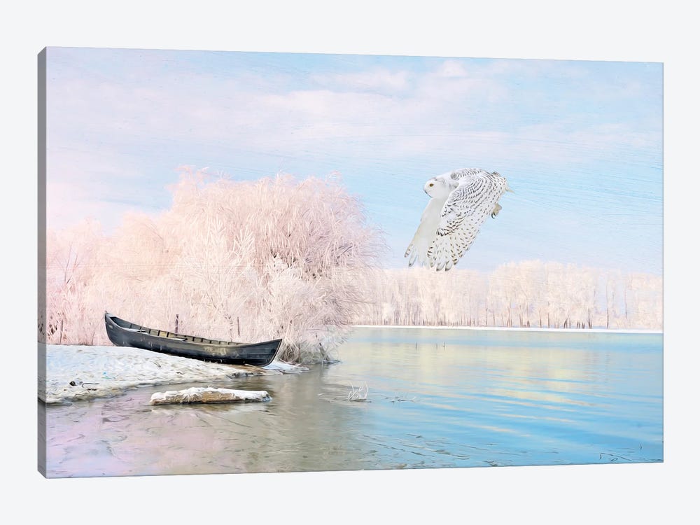 Snowy Owl At Winter Lake by Laura D Young 1-piece Canvas Art Print