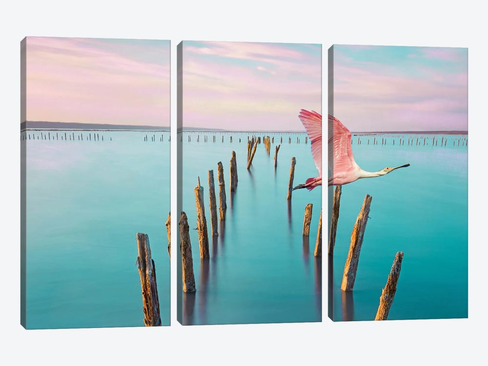 Roseate Spoonbill Over Turquoise Water by Laura D Young 3-piece Canvas Art