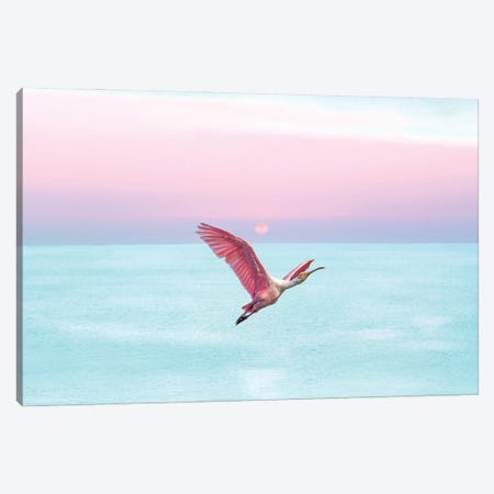 Roseate Spoonbill And Ocean Sky At Sunset Canvas Print #LDY106} by Laura D Young Canvas Print