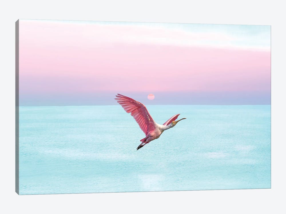 Roseate Spoonbill And Ocean Sky At Sunset by Laura D Young 1-piece Art Print