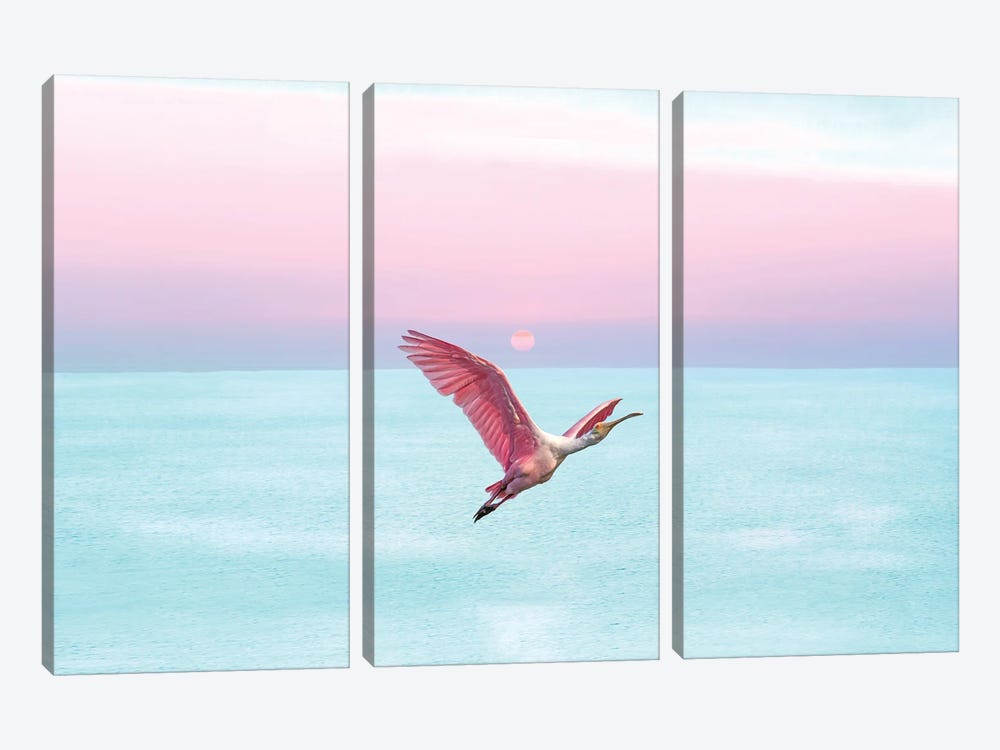 Roseate Spoonbill And Ocean Sky At Sunset by Laura D Young 3-piece Canvas Print