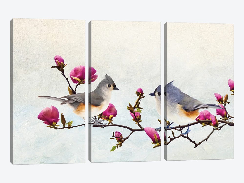 Tufted Titmice In Magnolia Tree by Laura D Young 3-piece Canvas Artwork