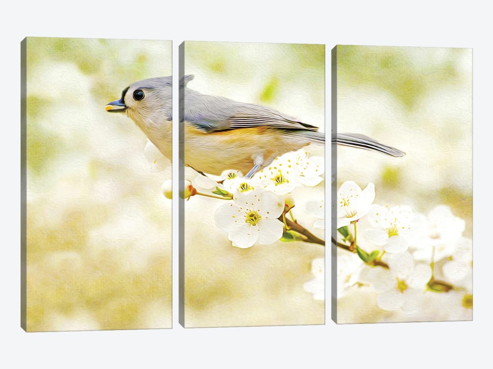 Tufted Titmouse In Apple Tree by Laura D Young 3-piece Canvas Art