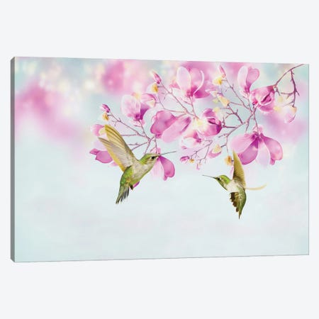 Two Hummingbirds Among Magnolia Flowers Canvas Print #LDY111} by Laura D Young Canvas Art Print