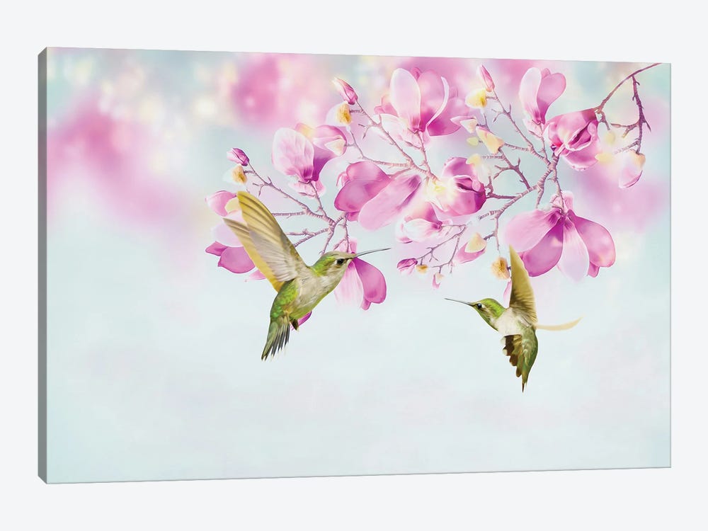 Two Hummingbirds Among Magnolia Flowers by Laura D Young 1-piece Canvas Art Print