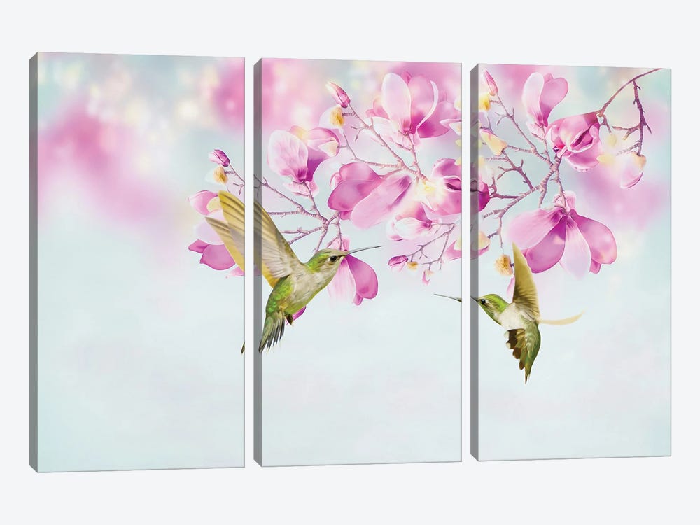 Two Hummingbirds Among Magnolia Flowers 3-piece Canvas Art Print