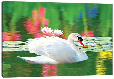 White Swan And Pink Water Lily Reflections Canvas Art Print - Swan Art
