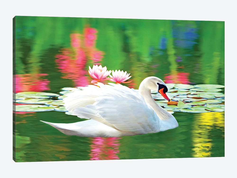 White Swan And Pink Water Lily Reflections by Laura D Young 1-piece Canvas Art Print