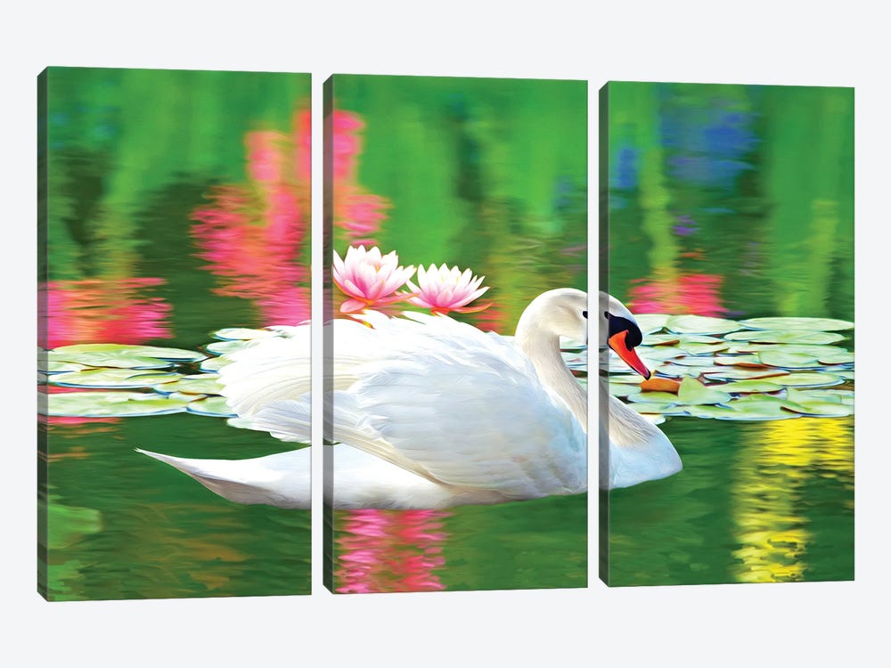 White Swan And Pink Water Lily Reflections by Laura D Young 3-piece Canvas Art Print