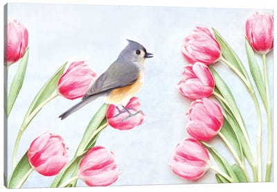 Tufted Titmouse Bird And Pink Tulips Canvas Art Print - Laura D Young