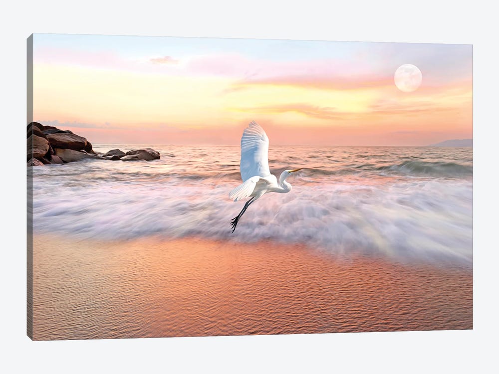 Great White Egret And Ocean Coast At Daybreak by Laura D Young 1-piece Canvas Print