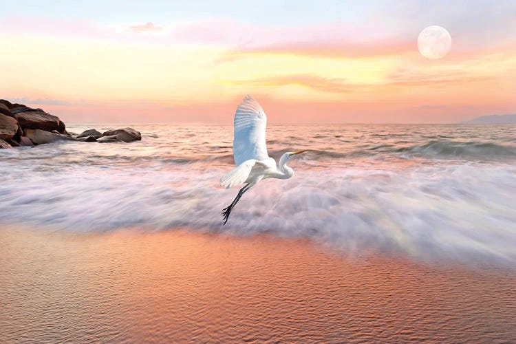 Great White Egret And Ocean Coast At Daybreak